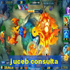 juceb consulta